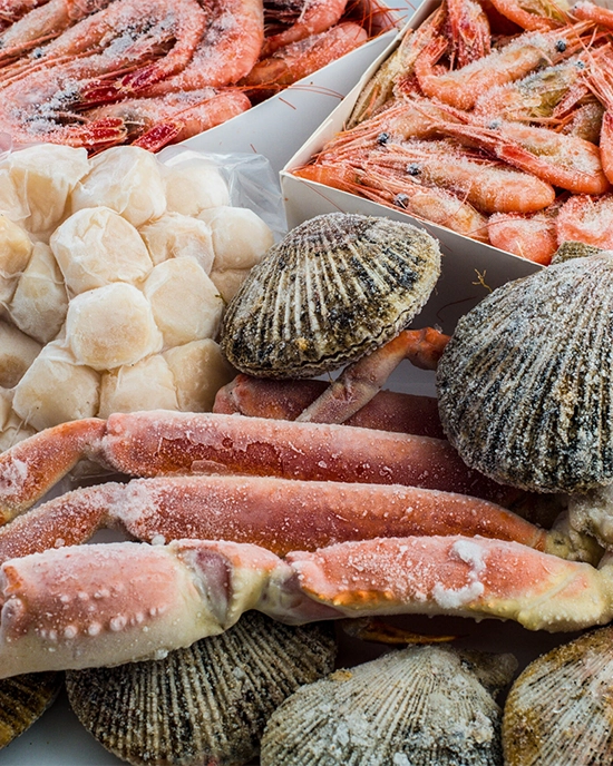 frozen seafood shutterstock 342935453 scaled 1