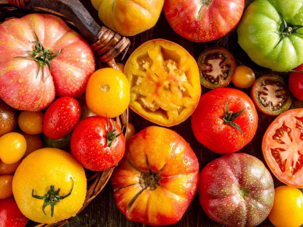 heirloom tomatoes varieties 1024x768 1