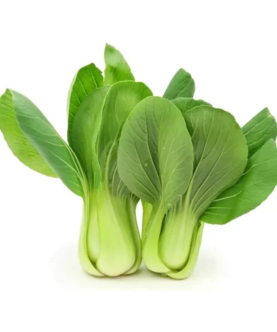 Friedas Shanghai Bok Choy3