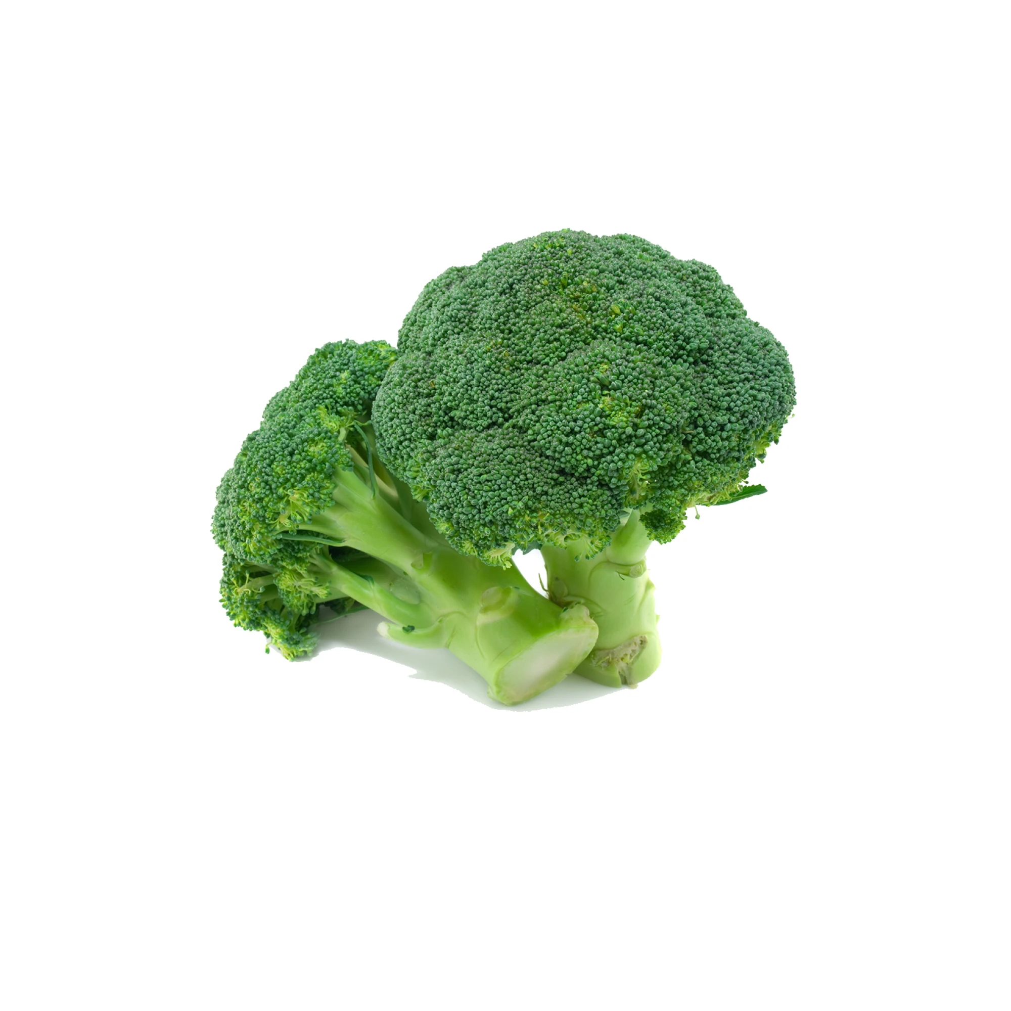 Fresh Broccoli 1.7 - 2.2lbs.