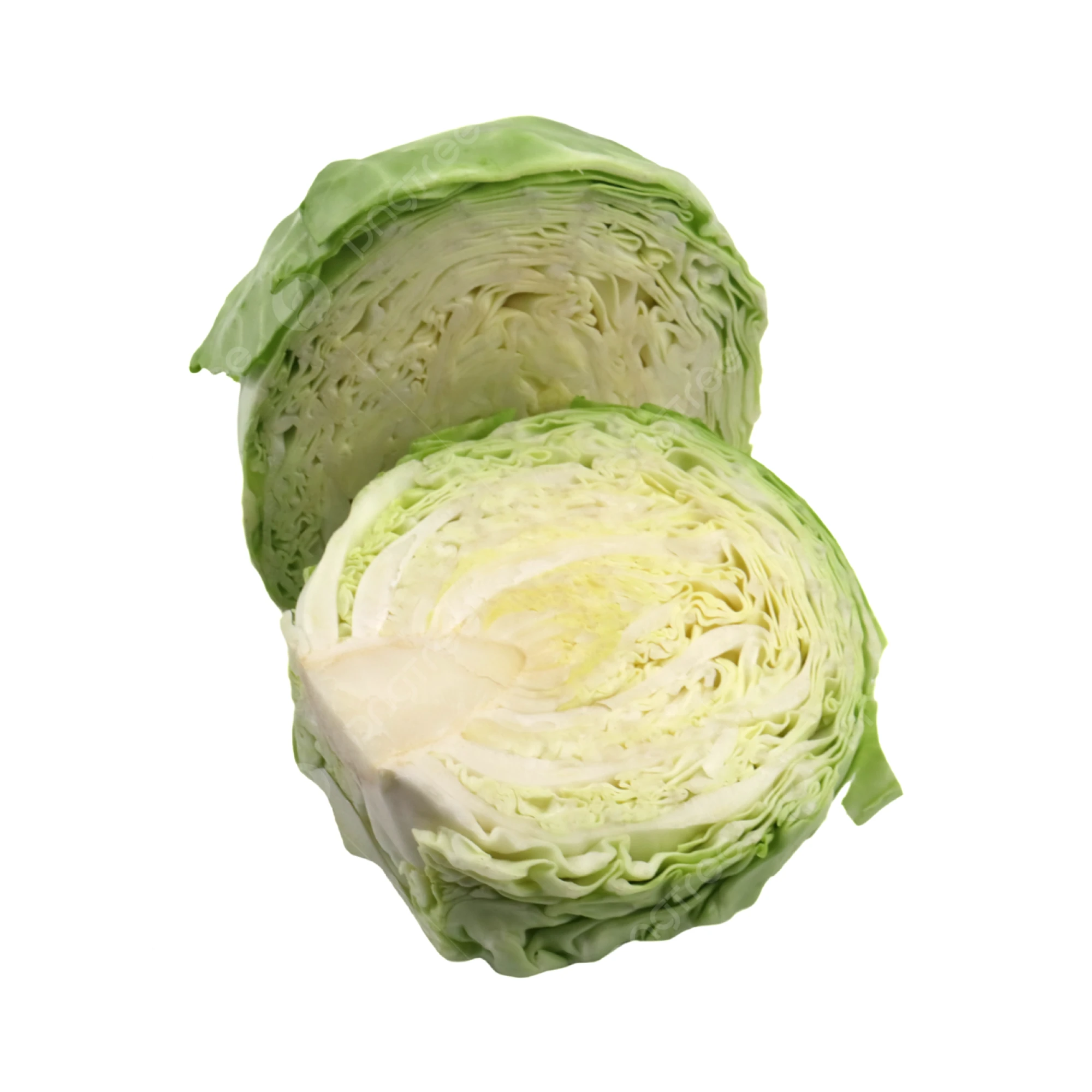 Alternative view of Green Cabbage 1 count