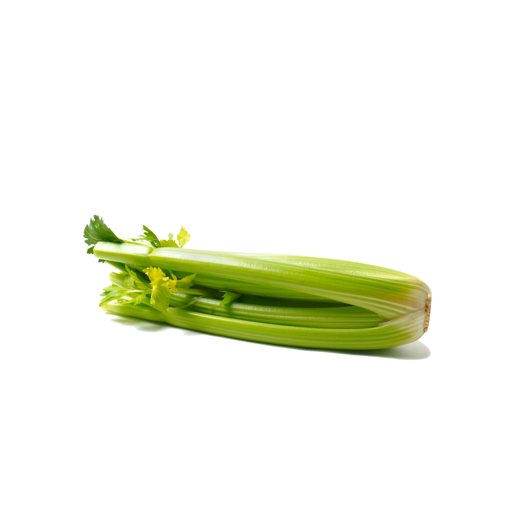 Alternative view of Celery 1 Bunch
