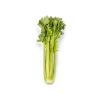Celery 1 Bunch