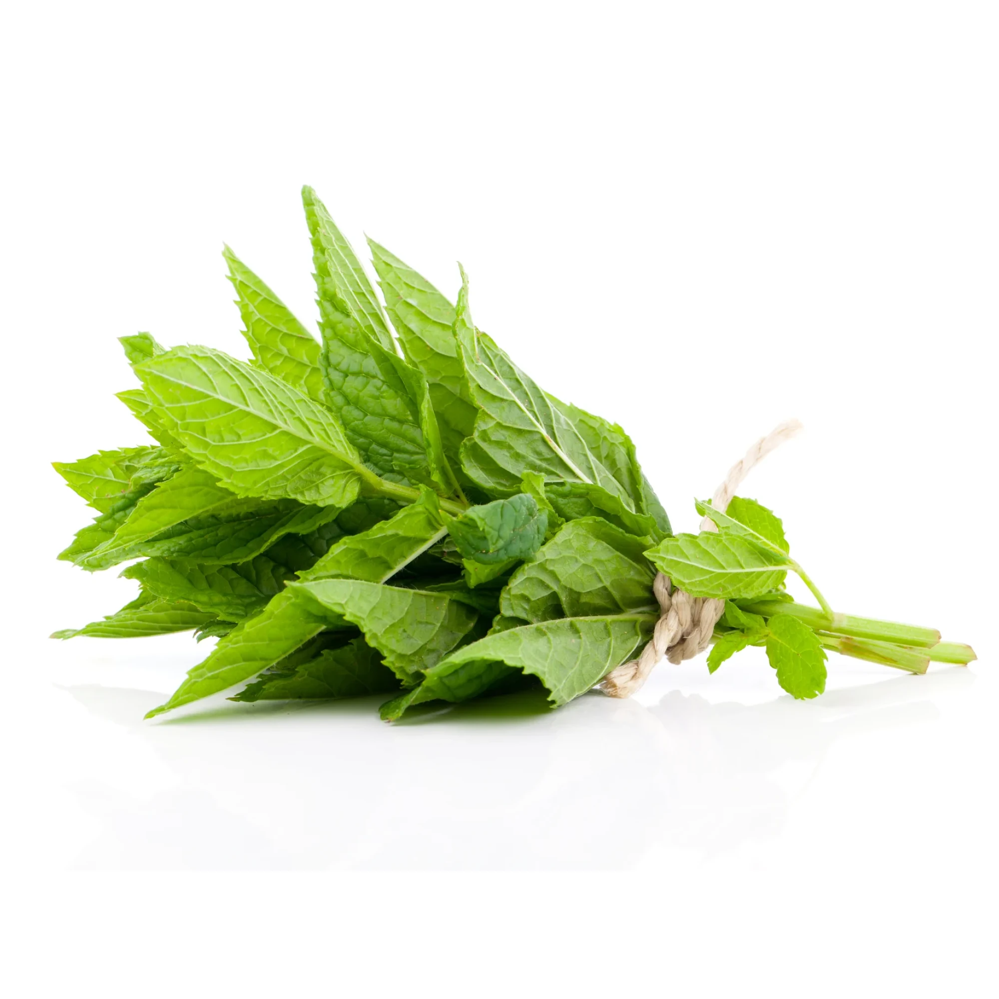 Alternative view of Mint 1 Bunch