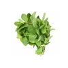 Mint 1 Bunch