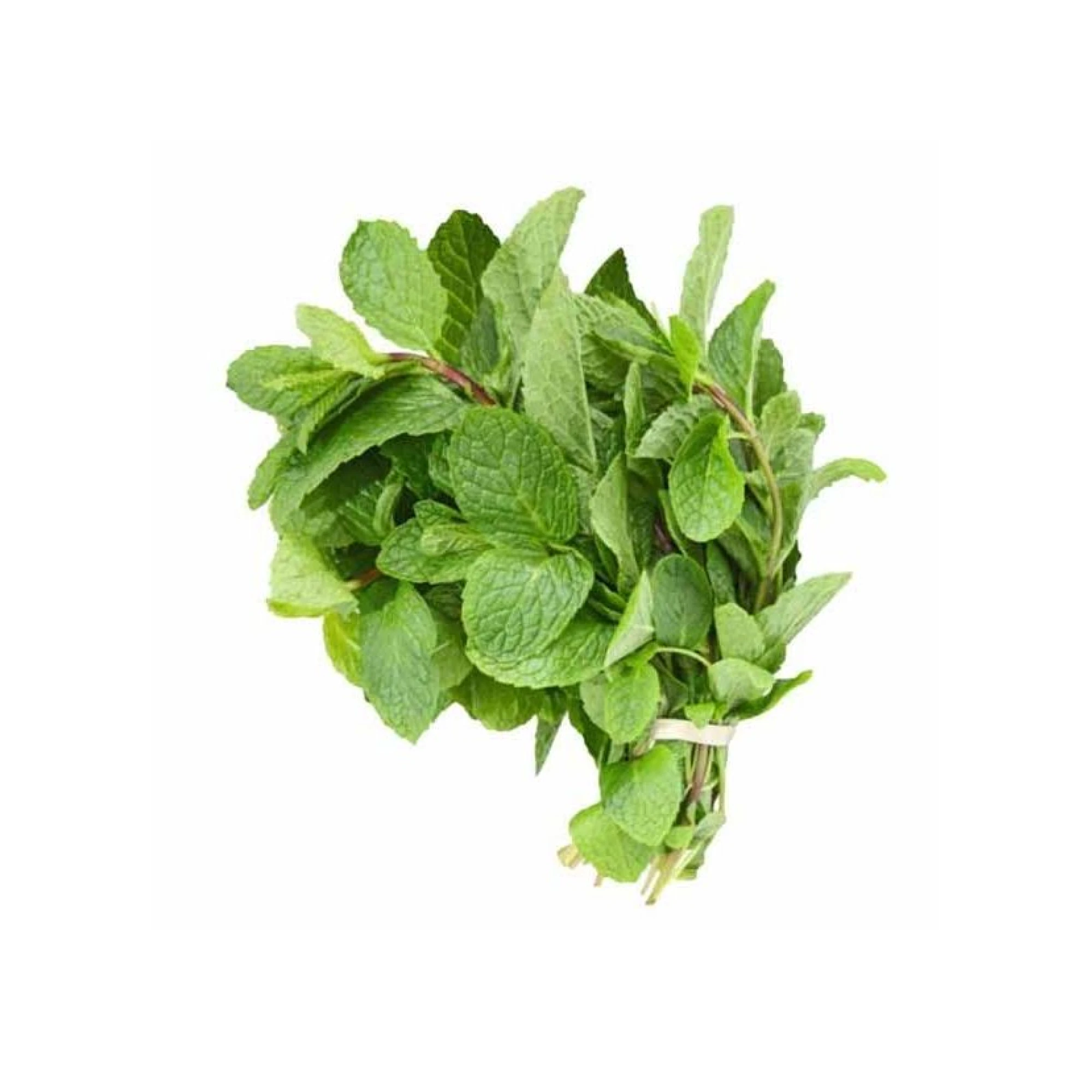 Mint 1 Bunch