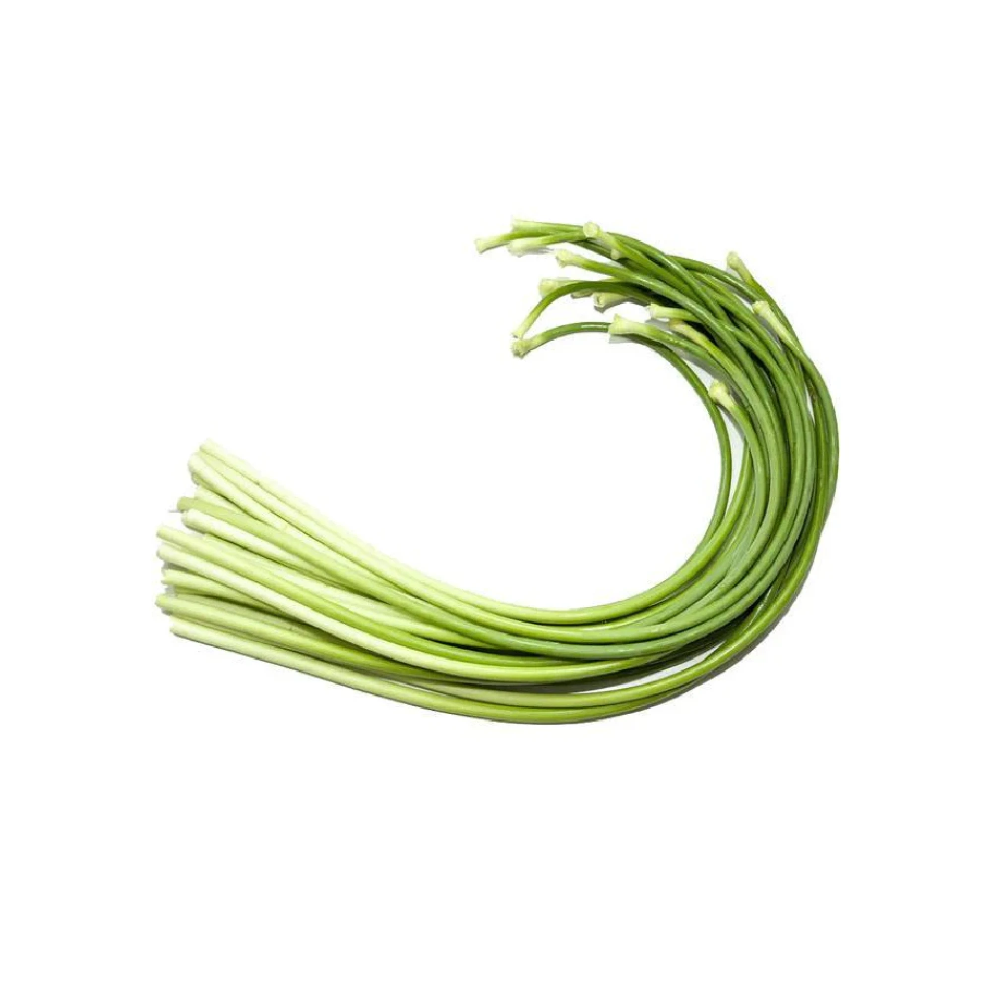 Alternative view of Garlic Stems 1 lb