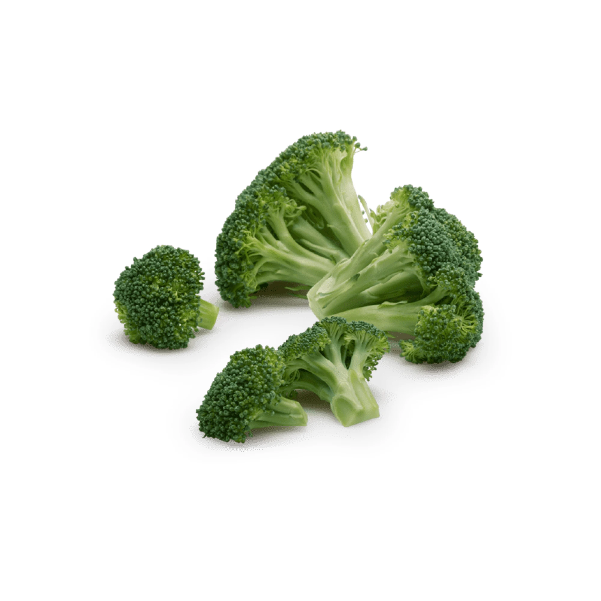 Alternative view of Fresh Broccoli 1.7 - 2.2lbs.