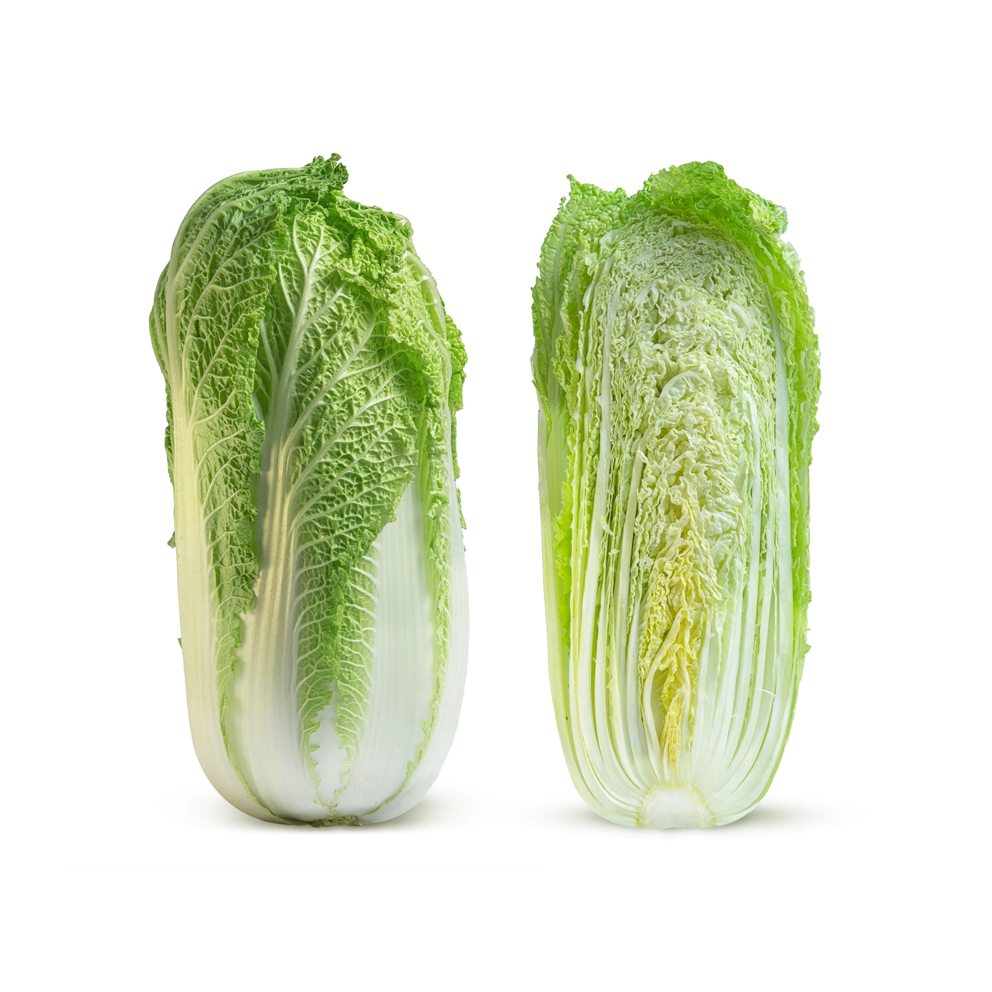 Alternative view of Napa Cabbage 1 count