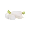 Sweet Chinese White Radish 1.7 - 2.5lbs.