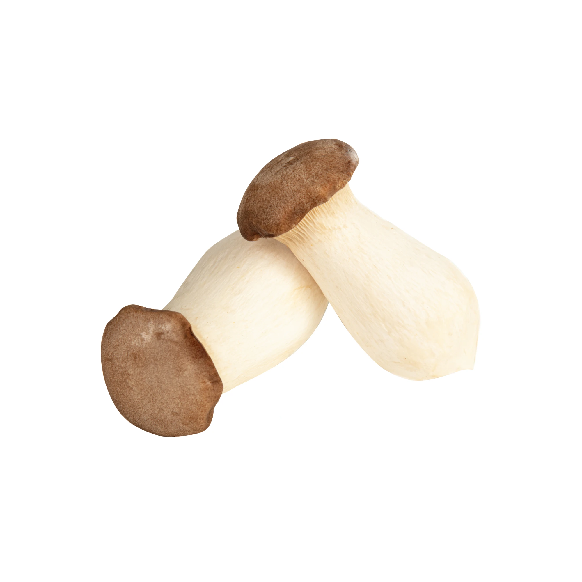 Alternative view of Organic King Oyster Mushrooms 10.58 oz