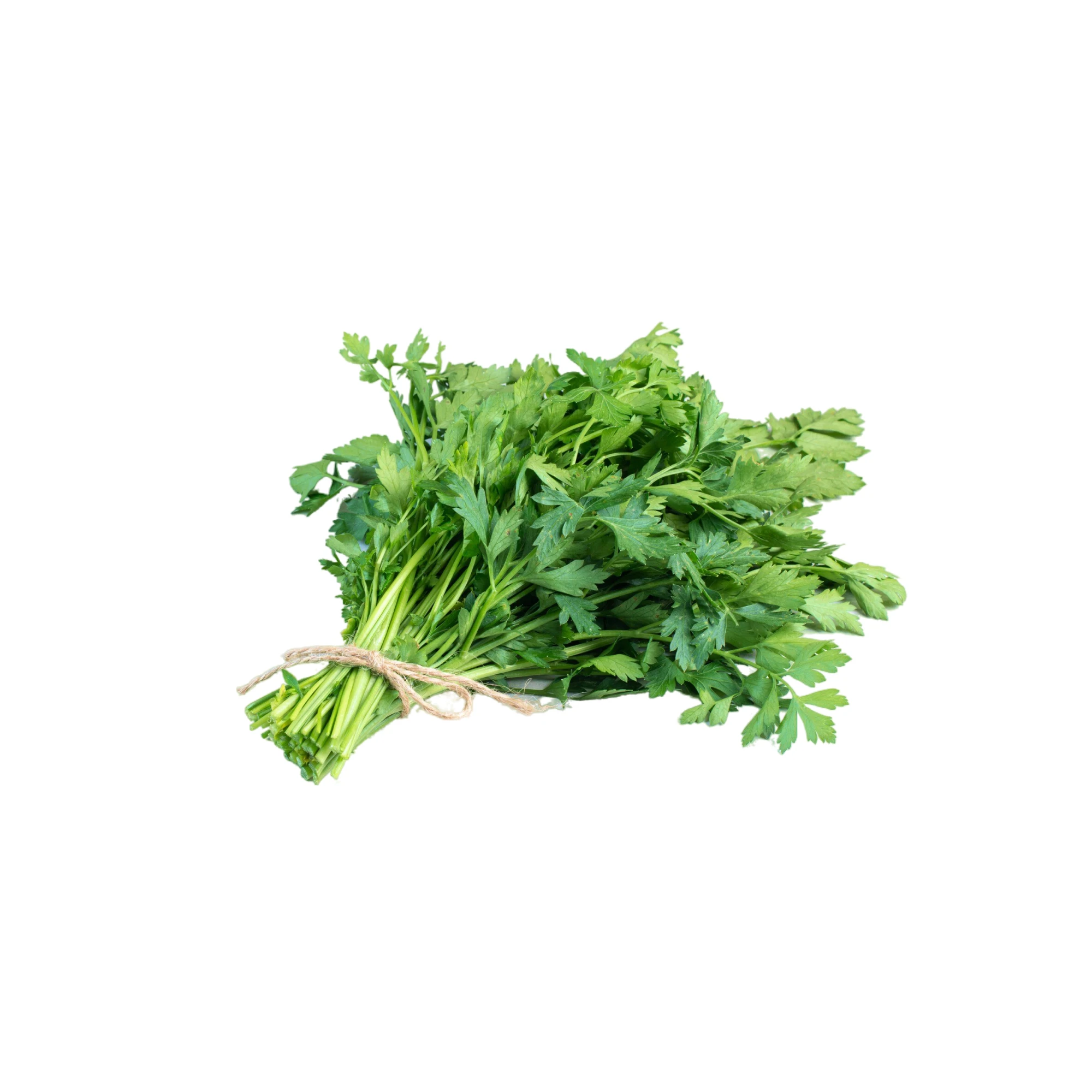 Alternative view of Tong Ho (Chrysanthemum Greens) 1 lb