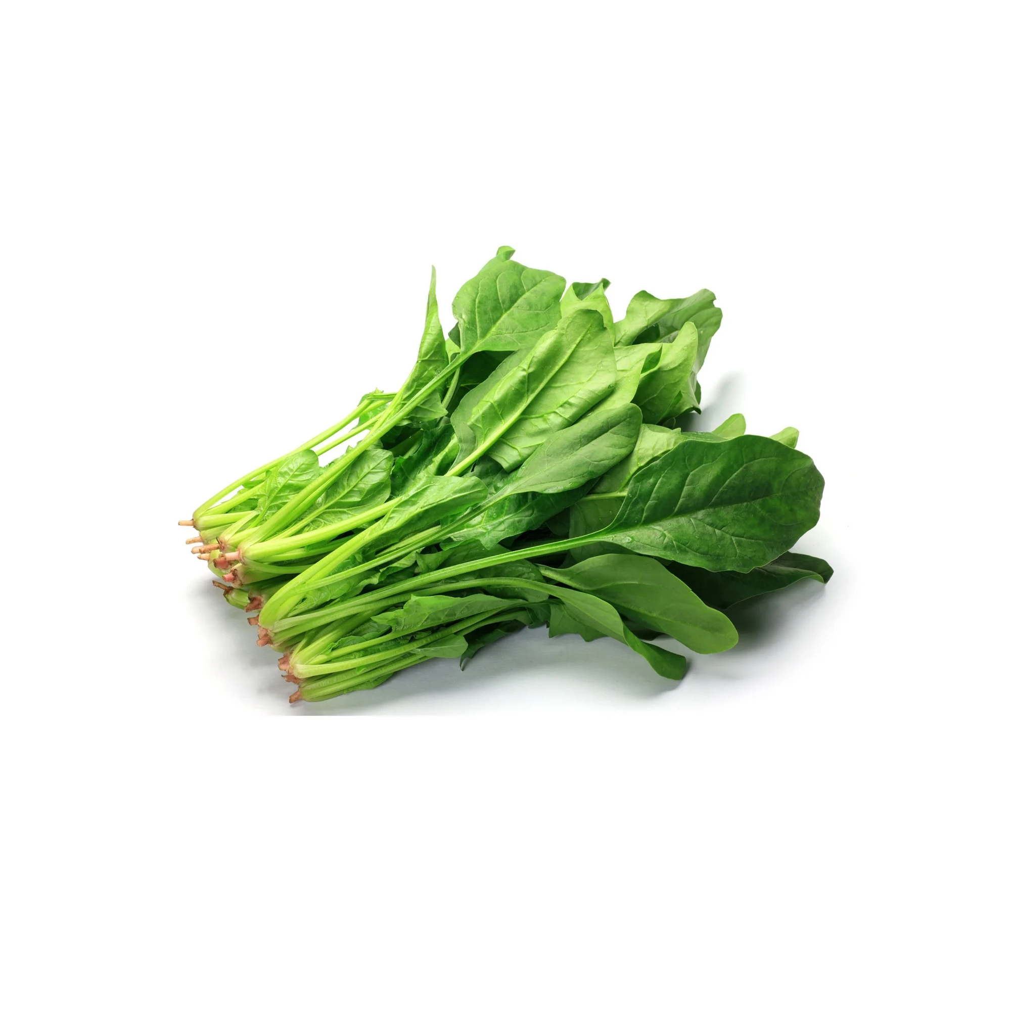 Fresh Spinach 1 bunch
