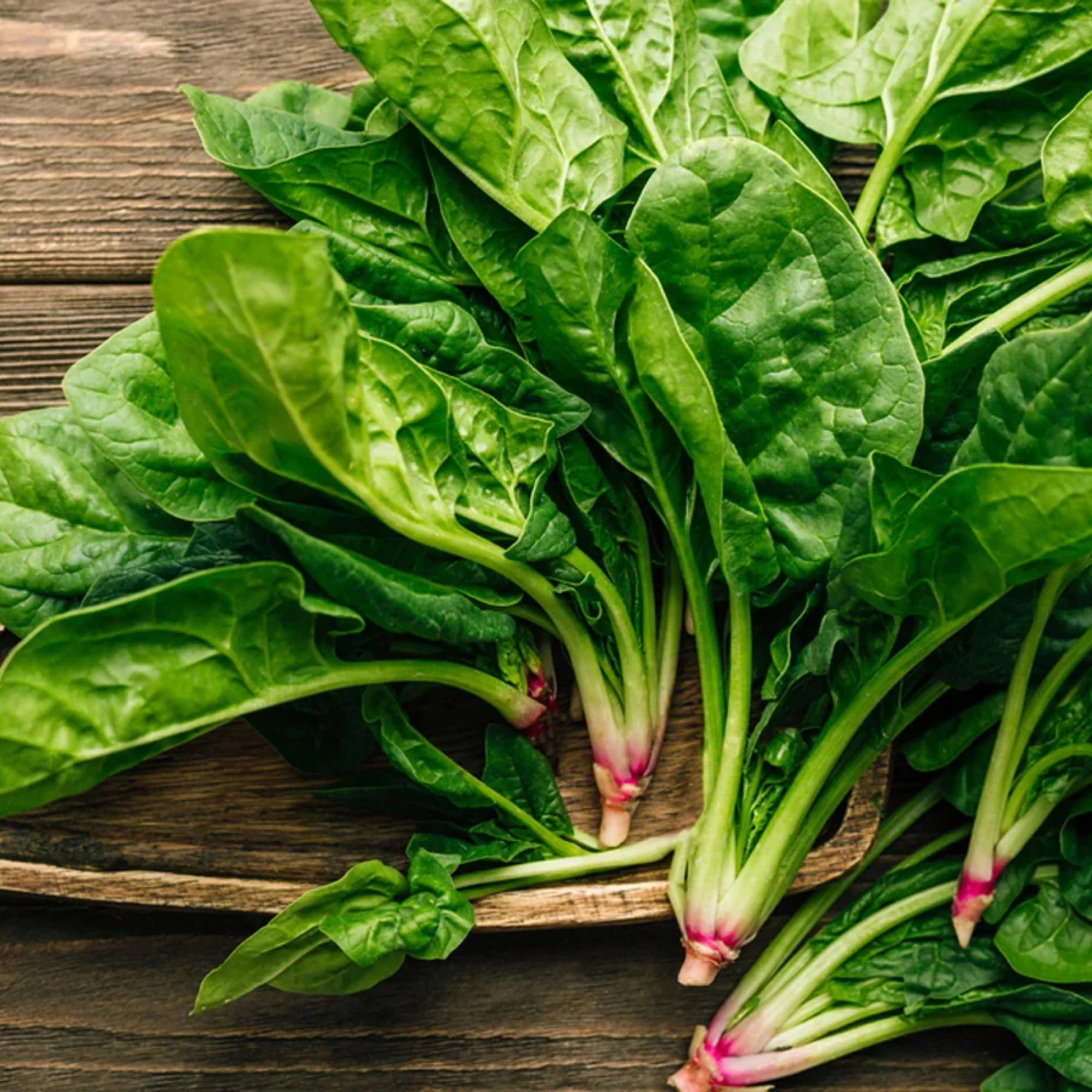 Alternative view of Fresh Spinach 1 bunch
