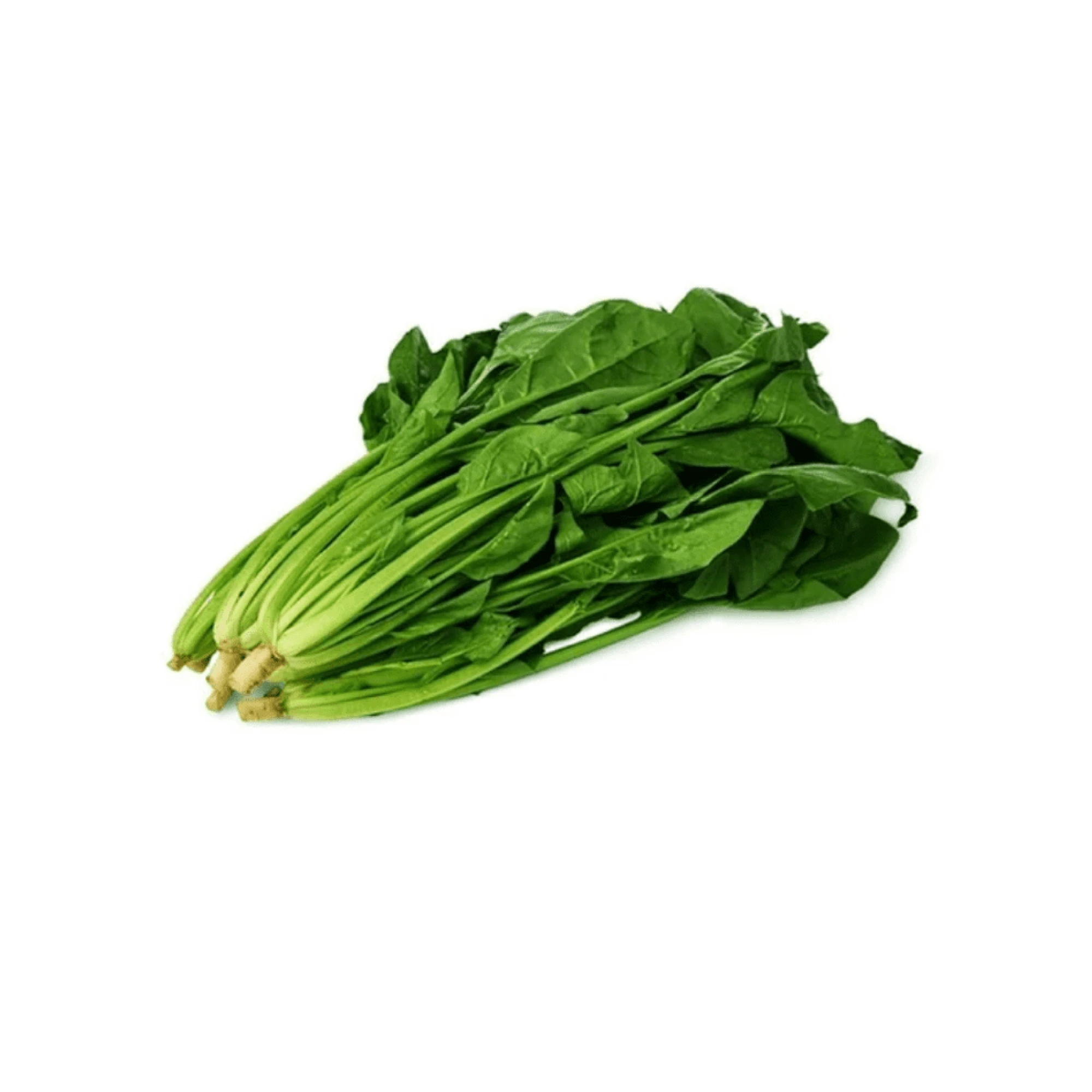 Alternative view of Taiwan Spinach 1lb