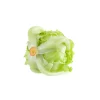 Organic Iceberg Lettuce 1 each