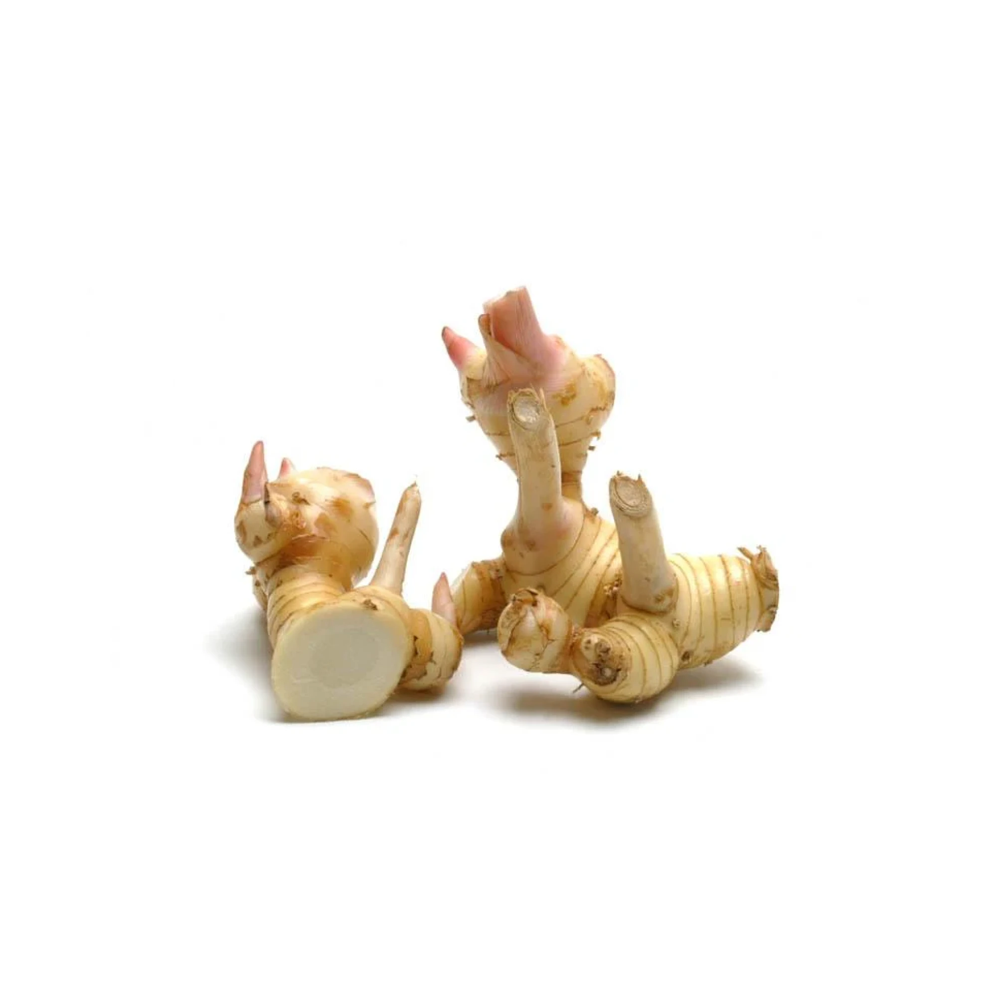 Alternative view of Galangal 1 lb