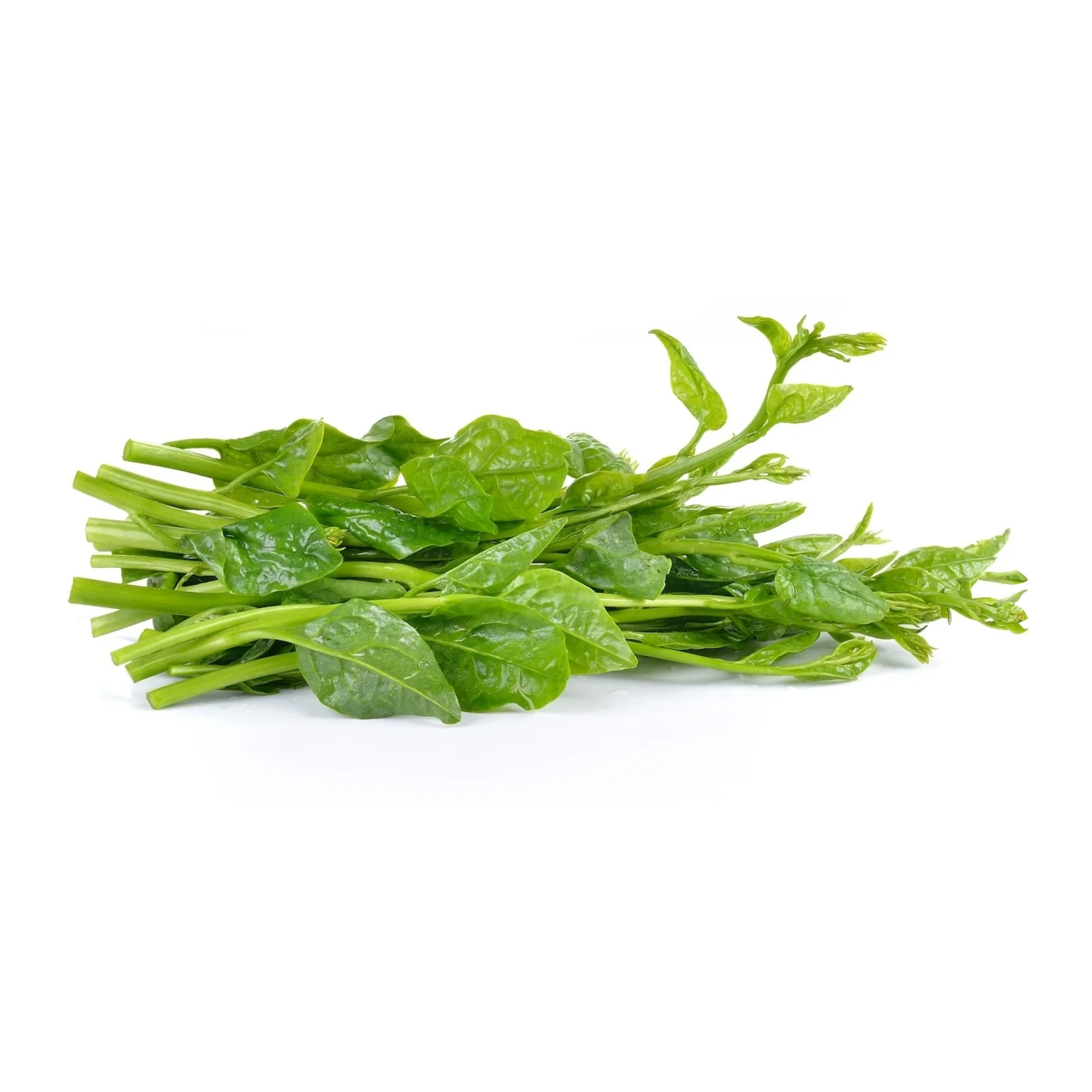 Alternative view of Local Malabar Spinach 1lb