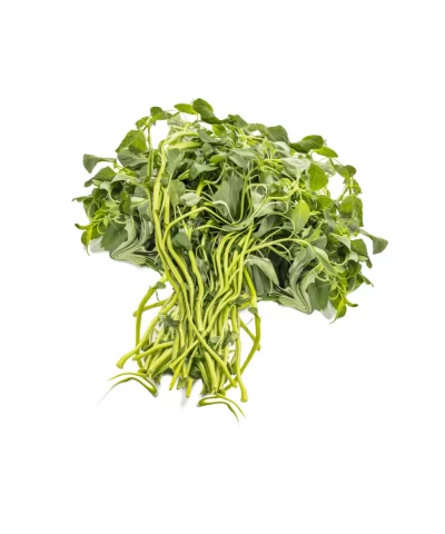 Alternative view of Green Shen Choy 2lbs.