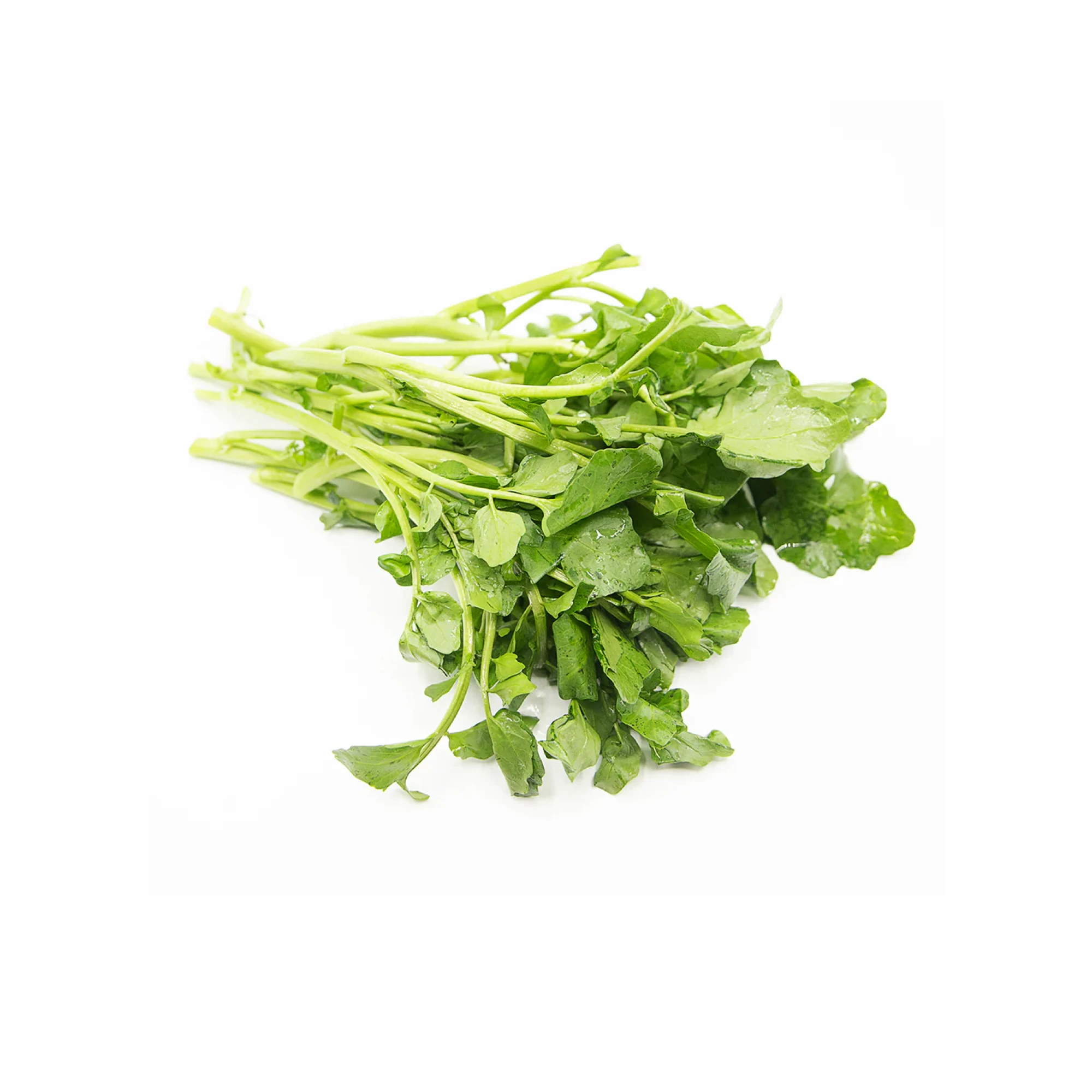 Green Shen Choy 2lbs.
