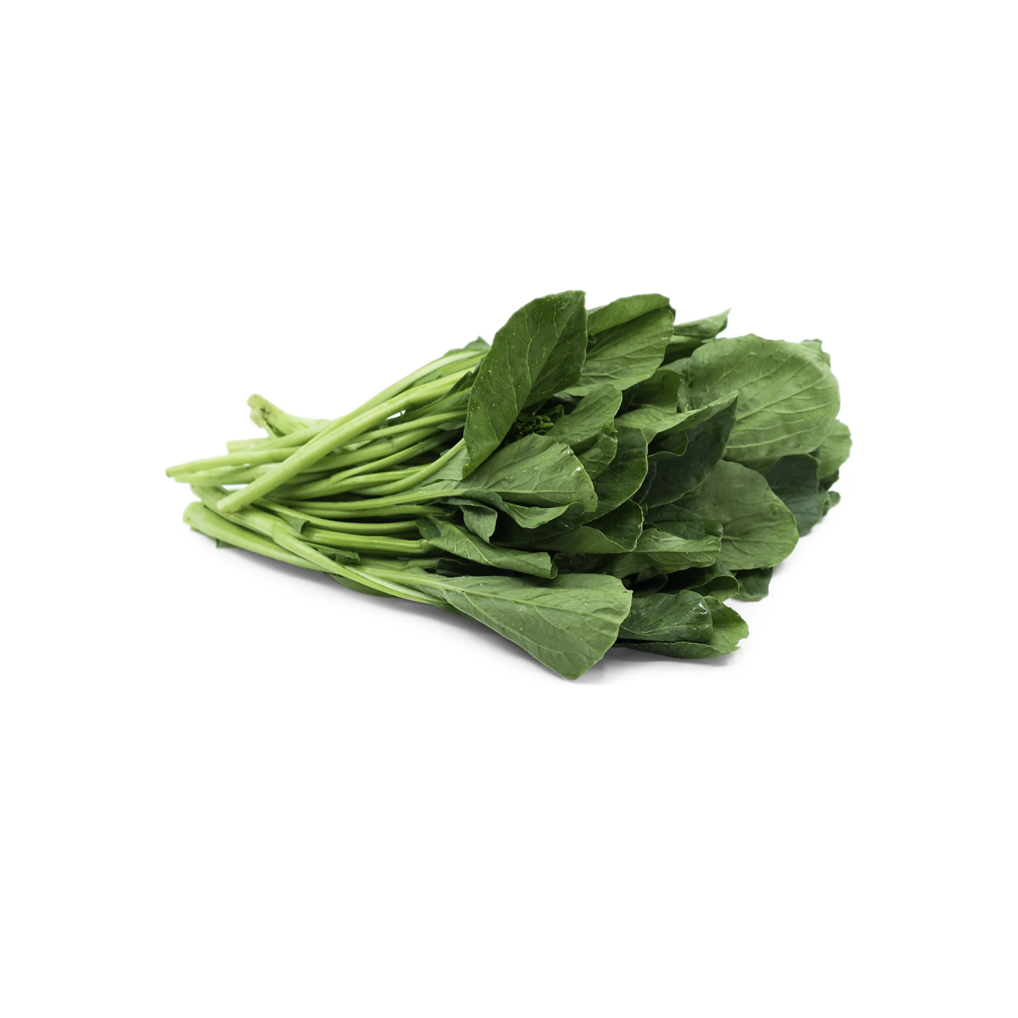 Alternative view of Yu Choy Mieu 1lb