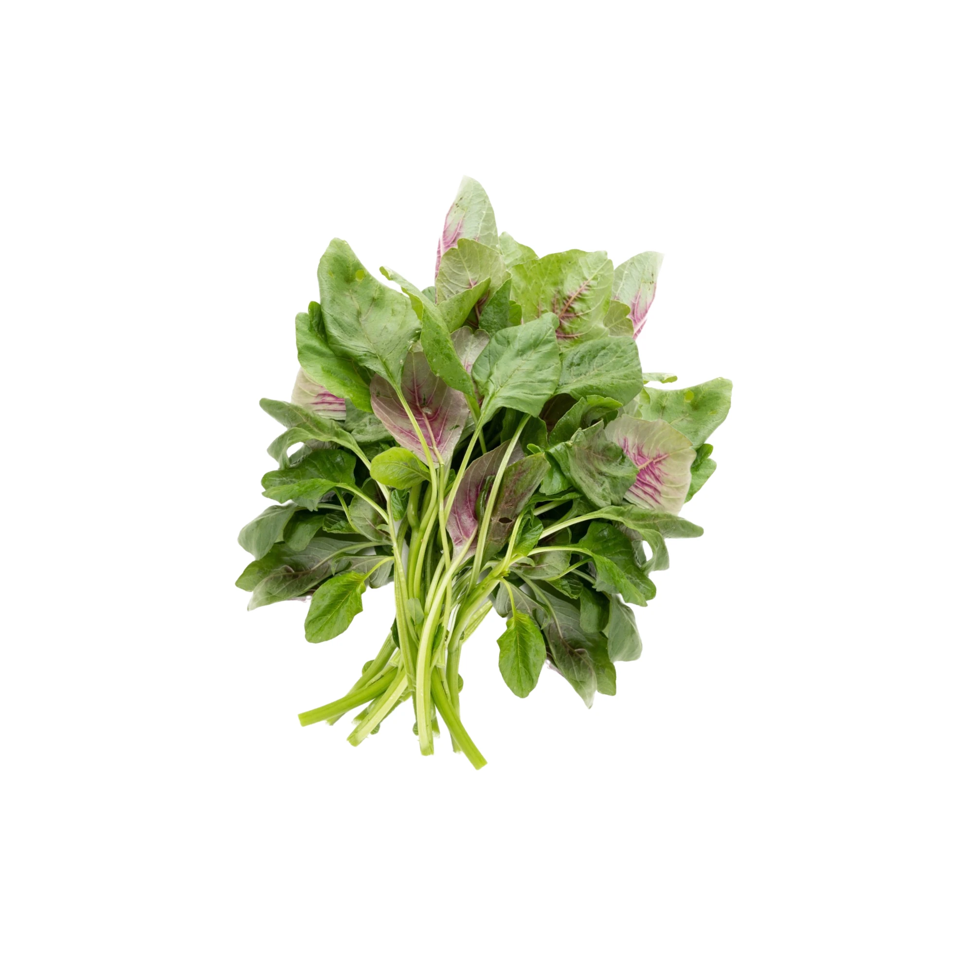 Alternative view of Red Shen Choy Mieu 1lb.