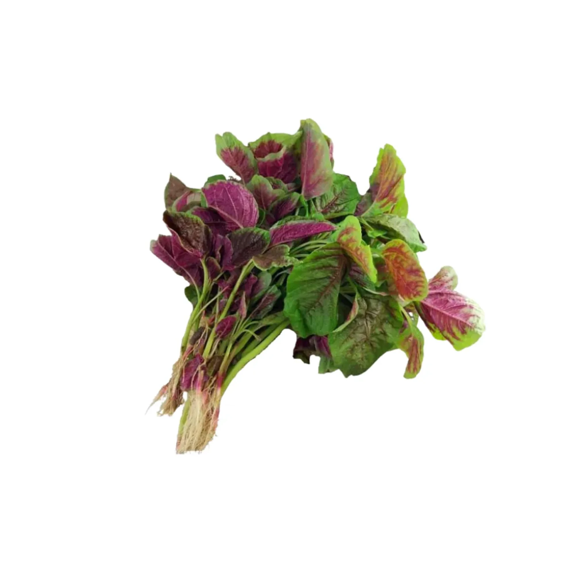Red Shen Choy Mieu 1lb.