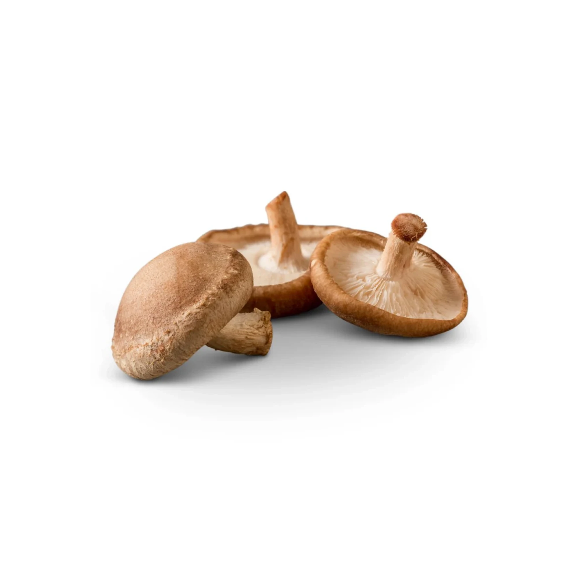 Alternative view of Organic Shiitake Mushrooms 8 oz