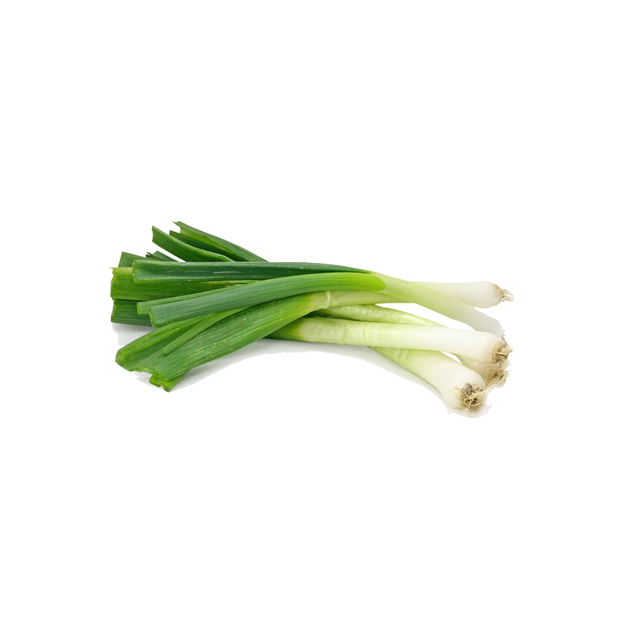 Leeks 1 bunch