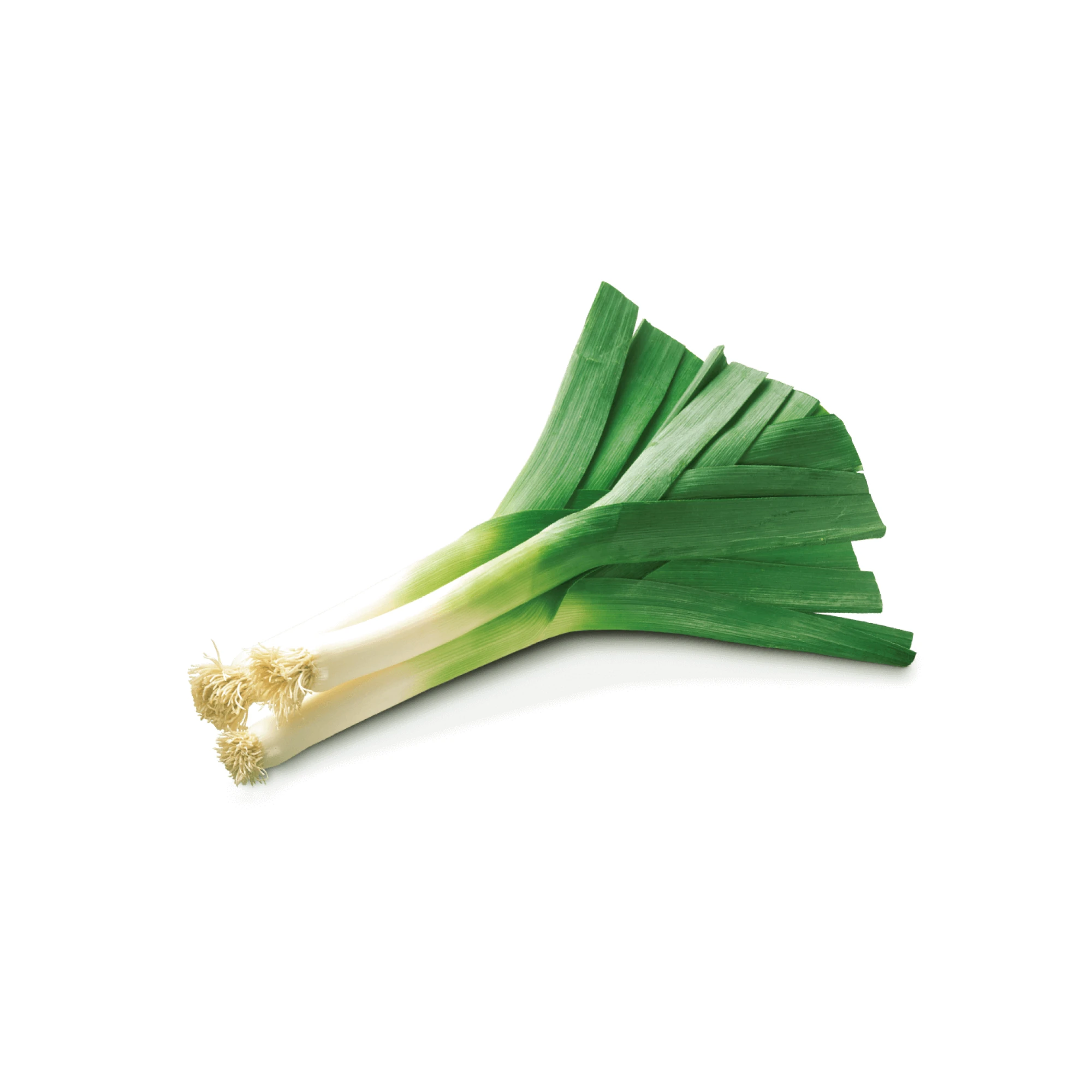 Alternative view of Leeks 1 bunch