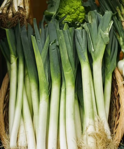 Leeks 1 bunch - Image 3