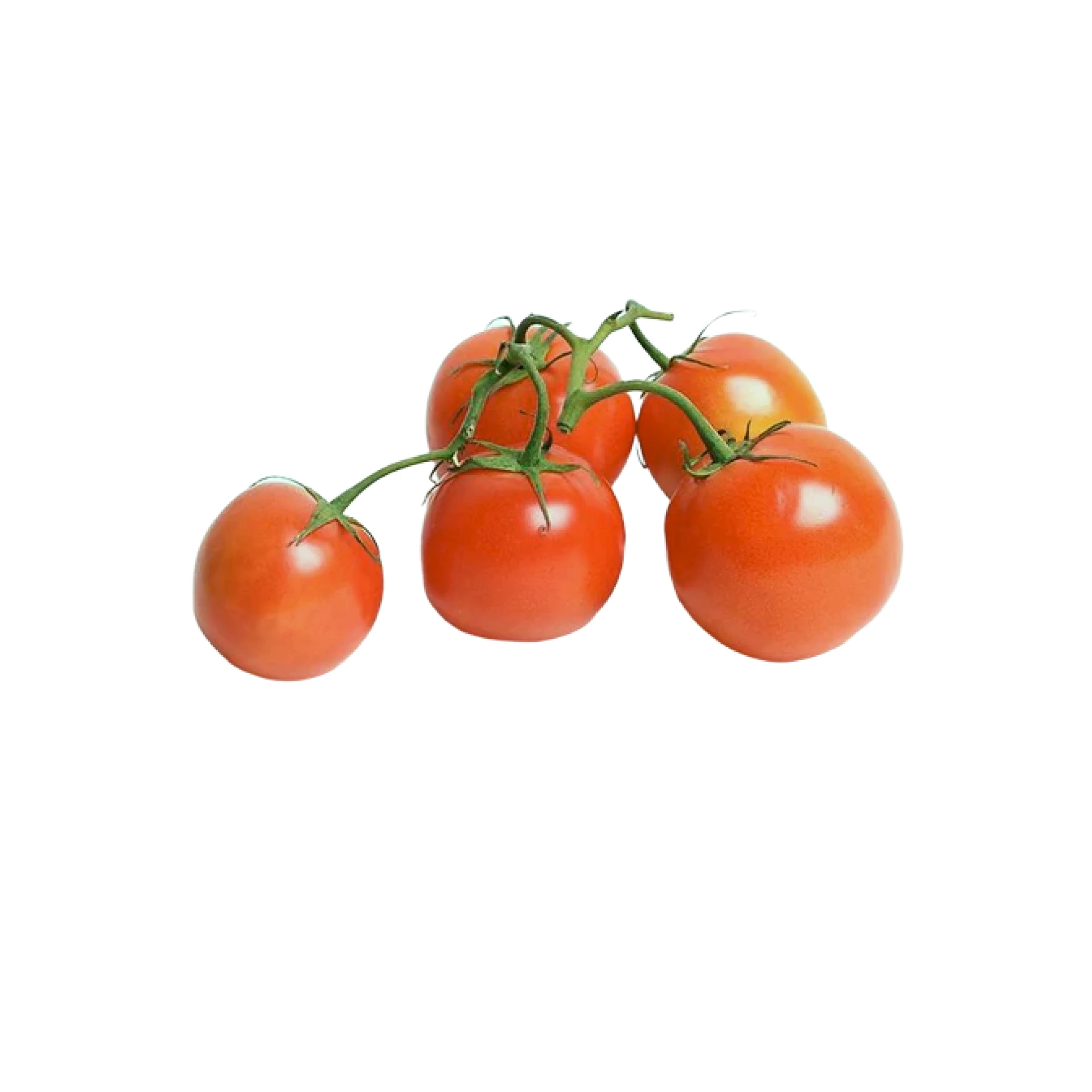 Alternative view of Cluster Tomatoes 1lb