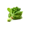 Organic Spinach 1 Bunch