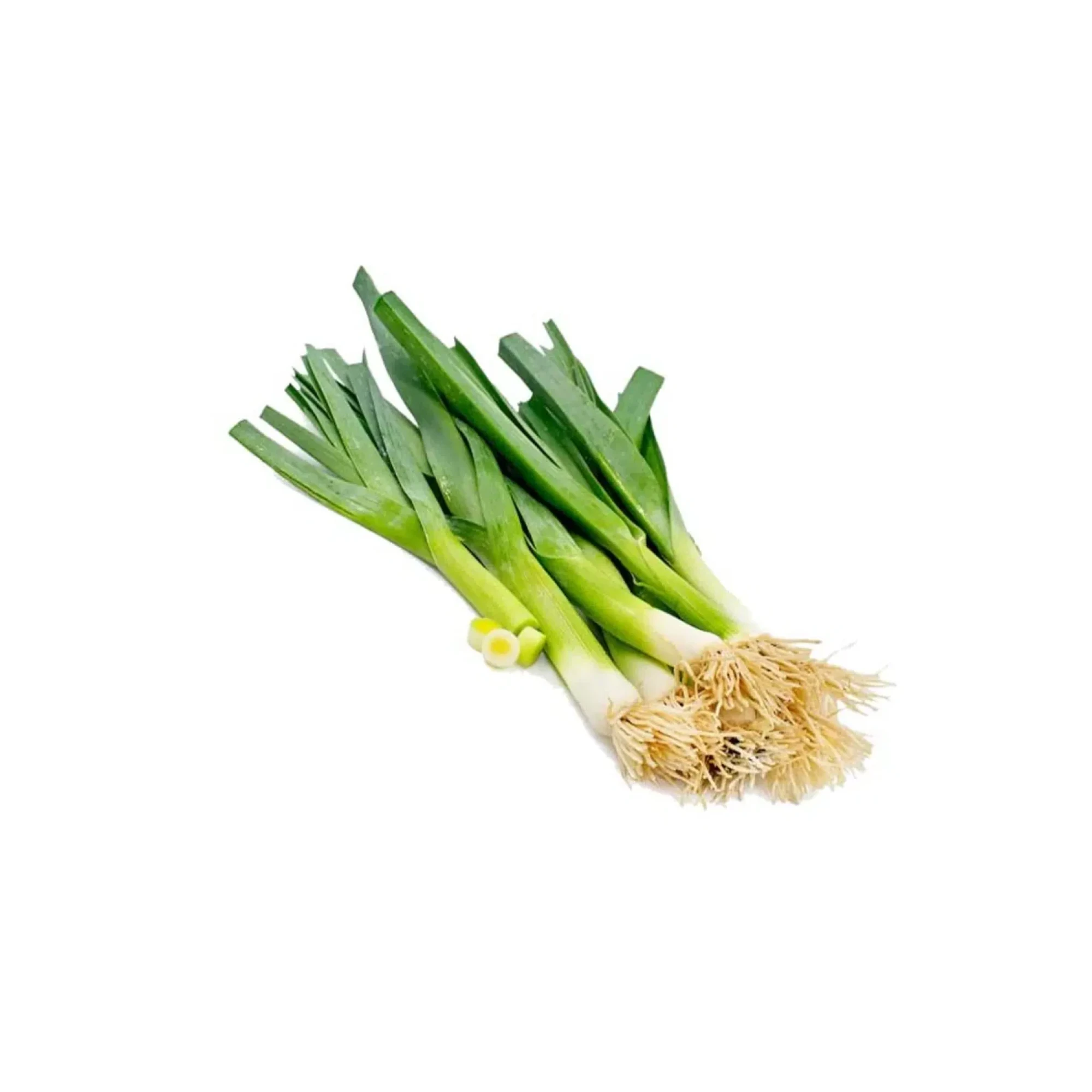 Chinese Leek 0.95-1.05 lb