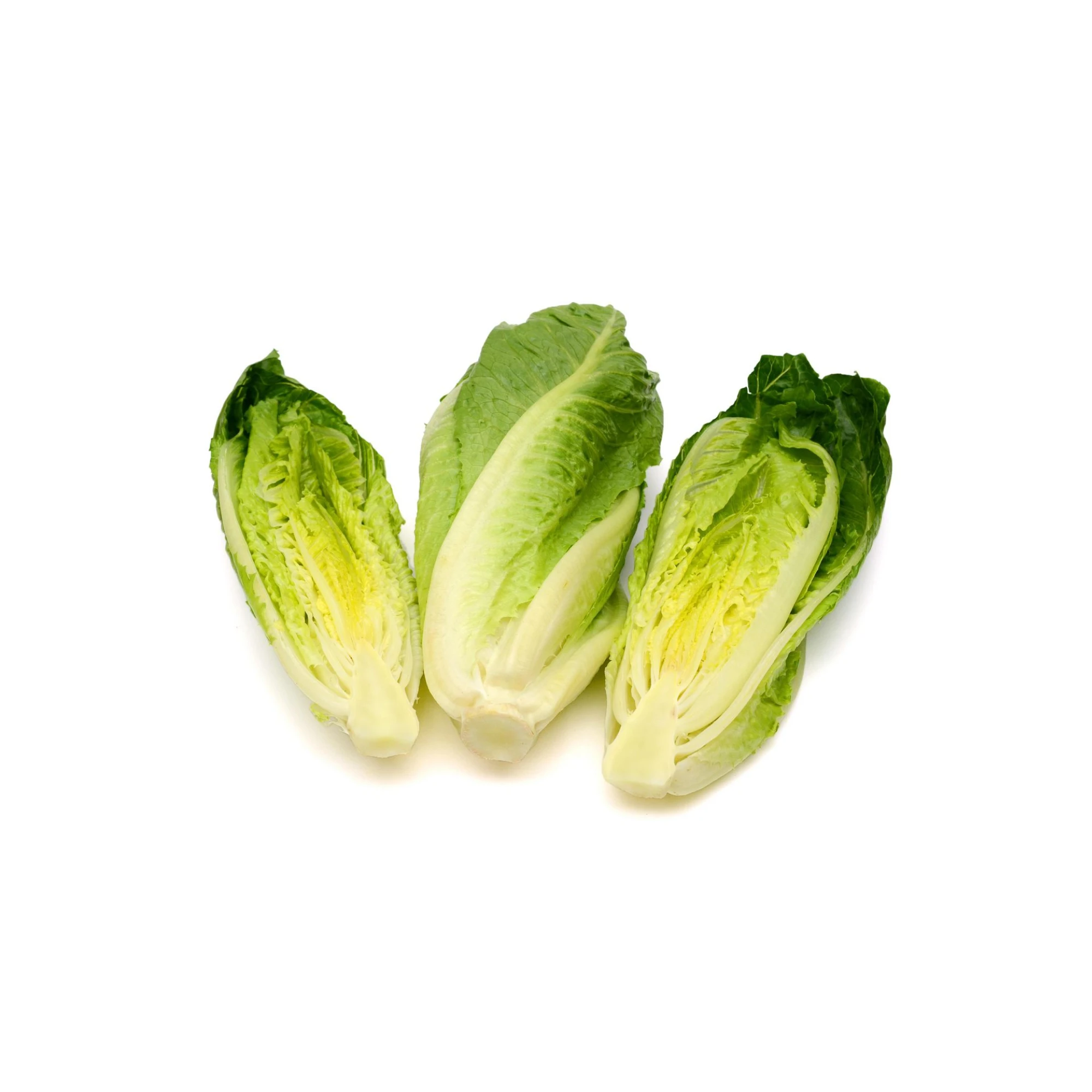 Organic Romaine hearts Lettuce 3ct 1 each