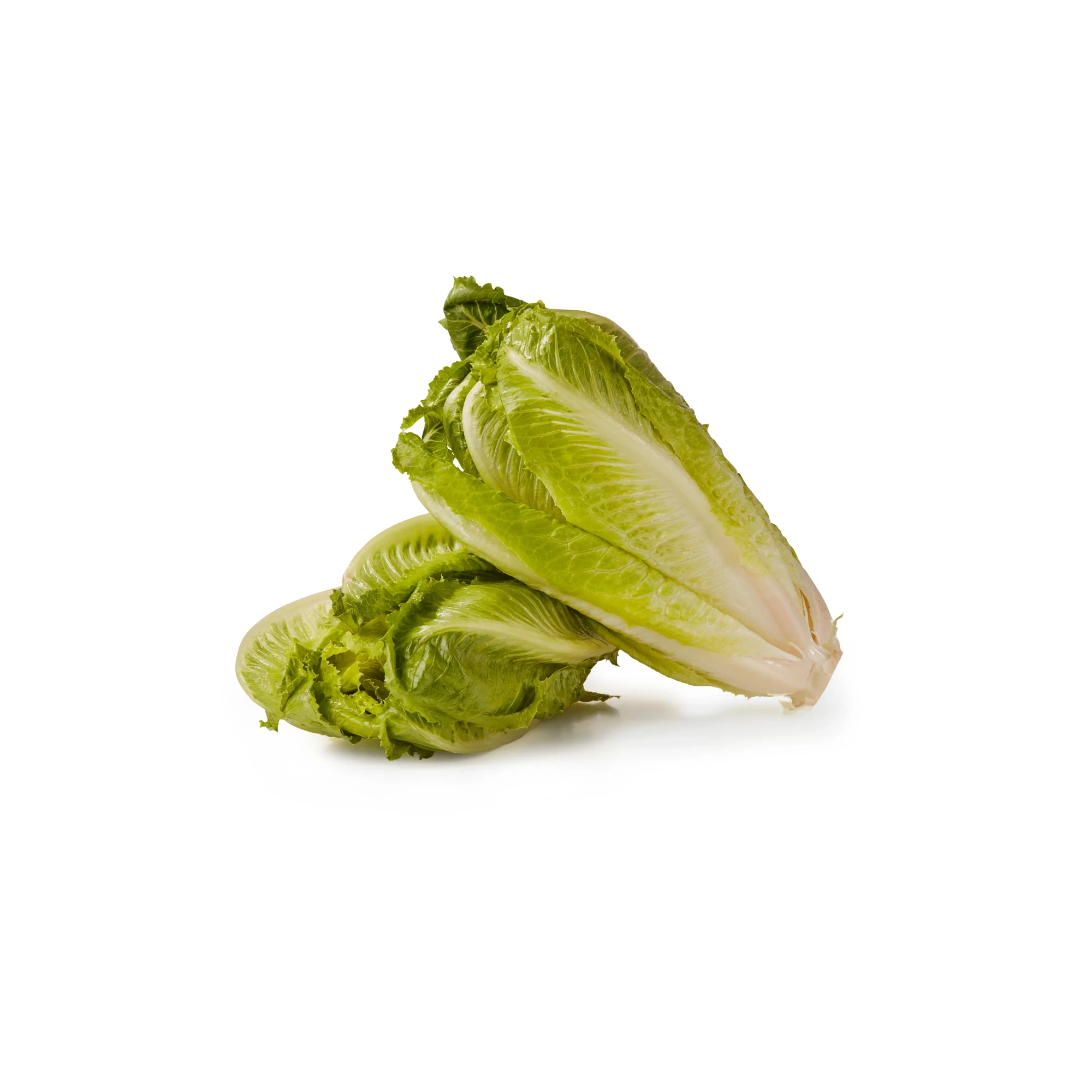 Alternative view of Organic Romaine hearts Lettuce 3ct 1 each