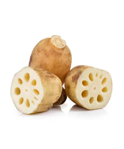Alternative view of Fresh Lotus Root 2.4-2.7 lb
