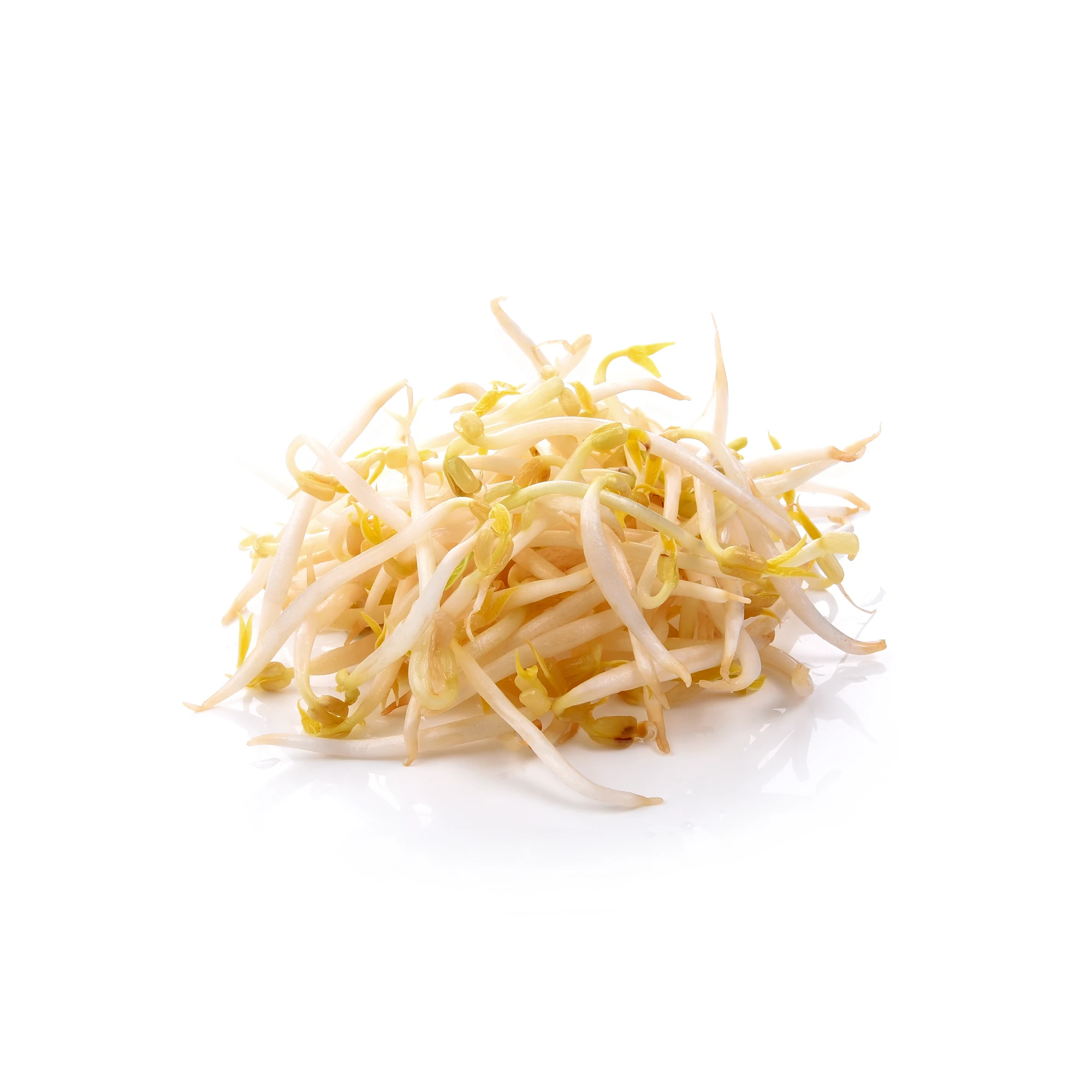 Mung Bean Sprouts 12 oz