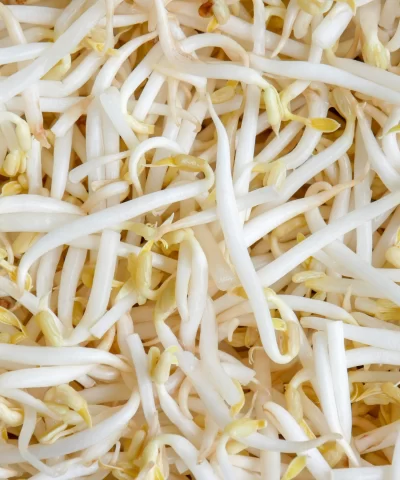 16 8