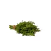 Organic Dill 4 oz