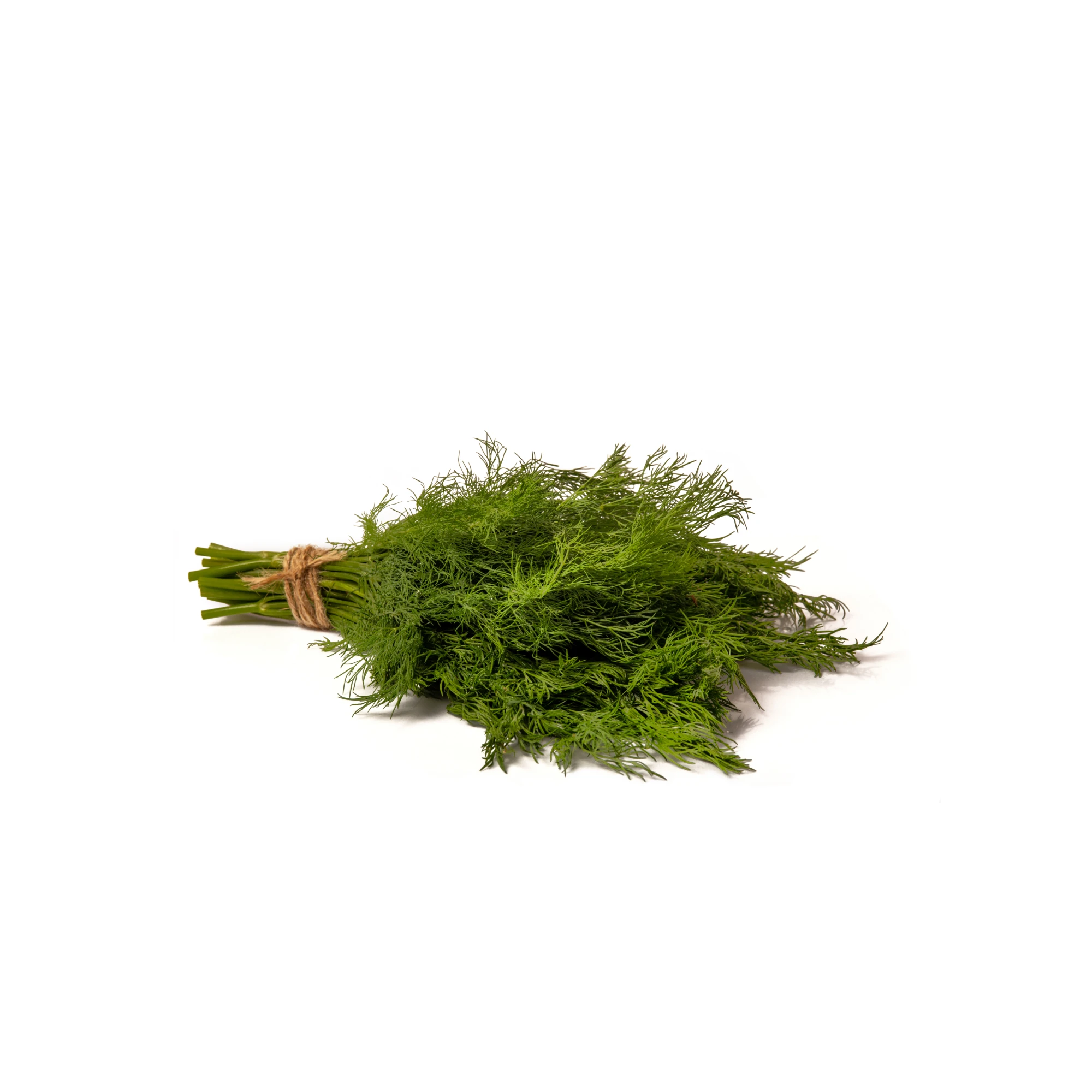 Organic Dill 4 oz