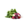 Organic Easter Egg Radish .75lb