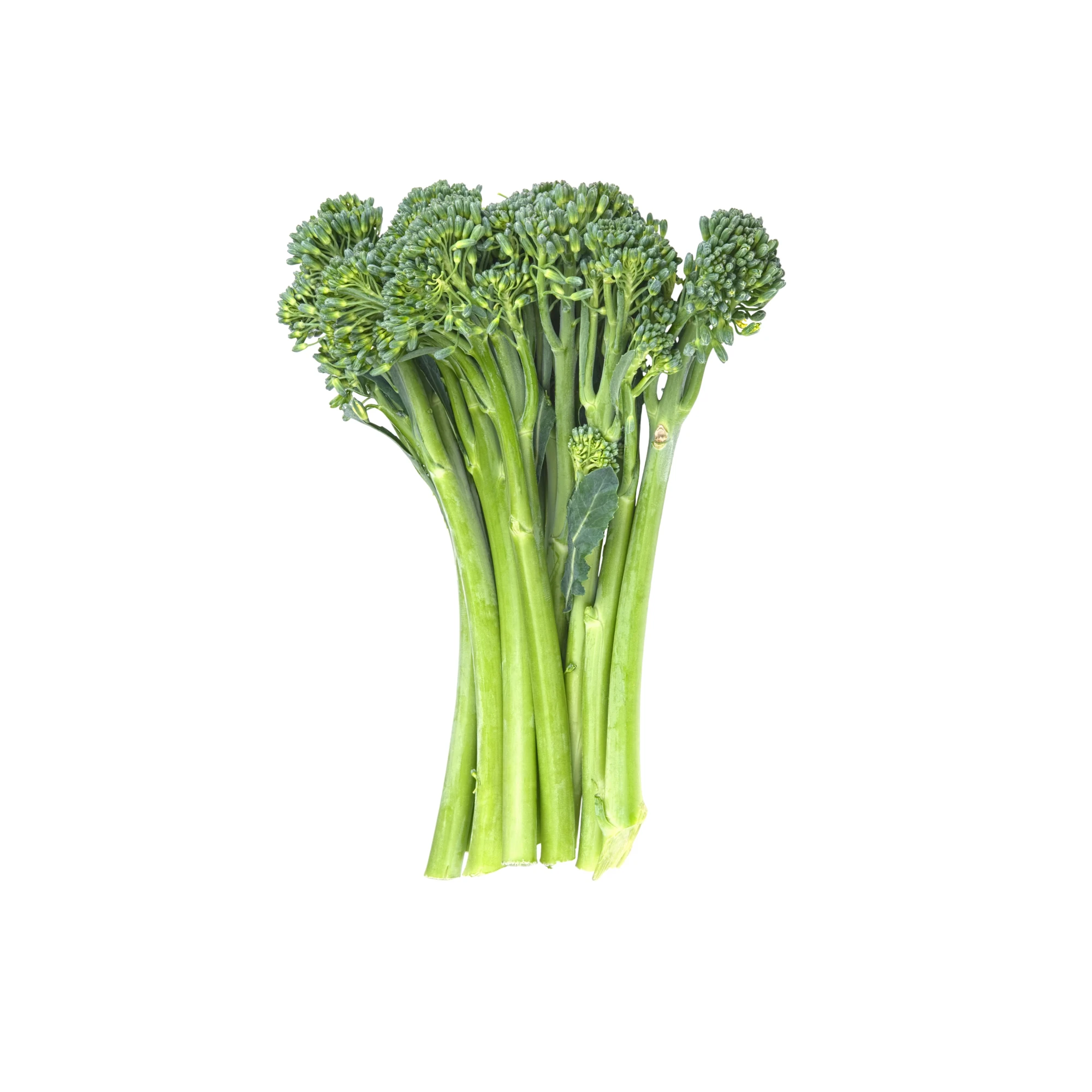 Organic Broccolette 0.5 lb