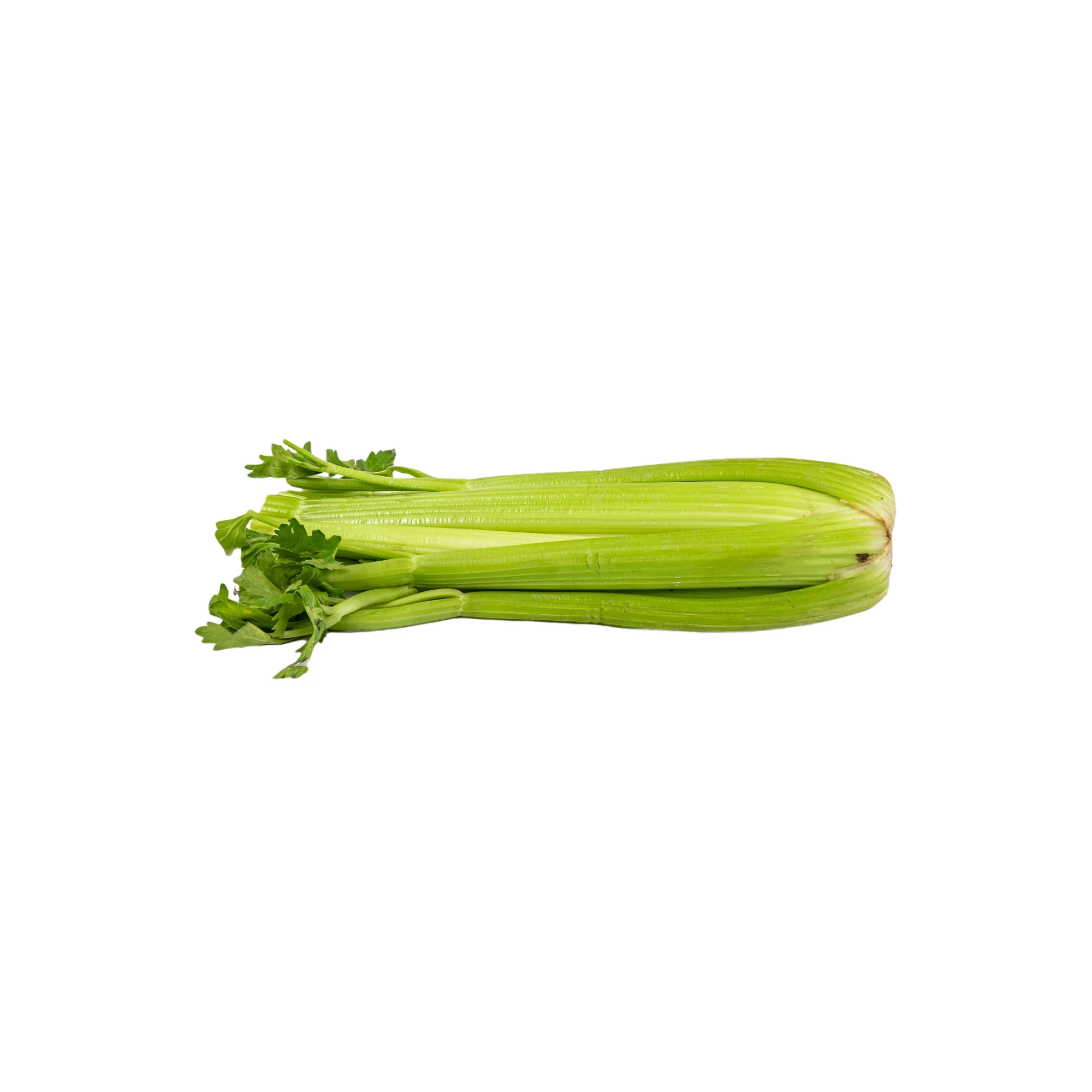 Organic Celery 1lb