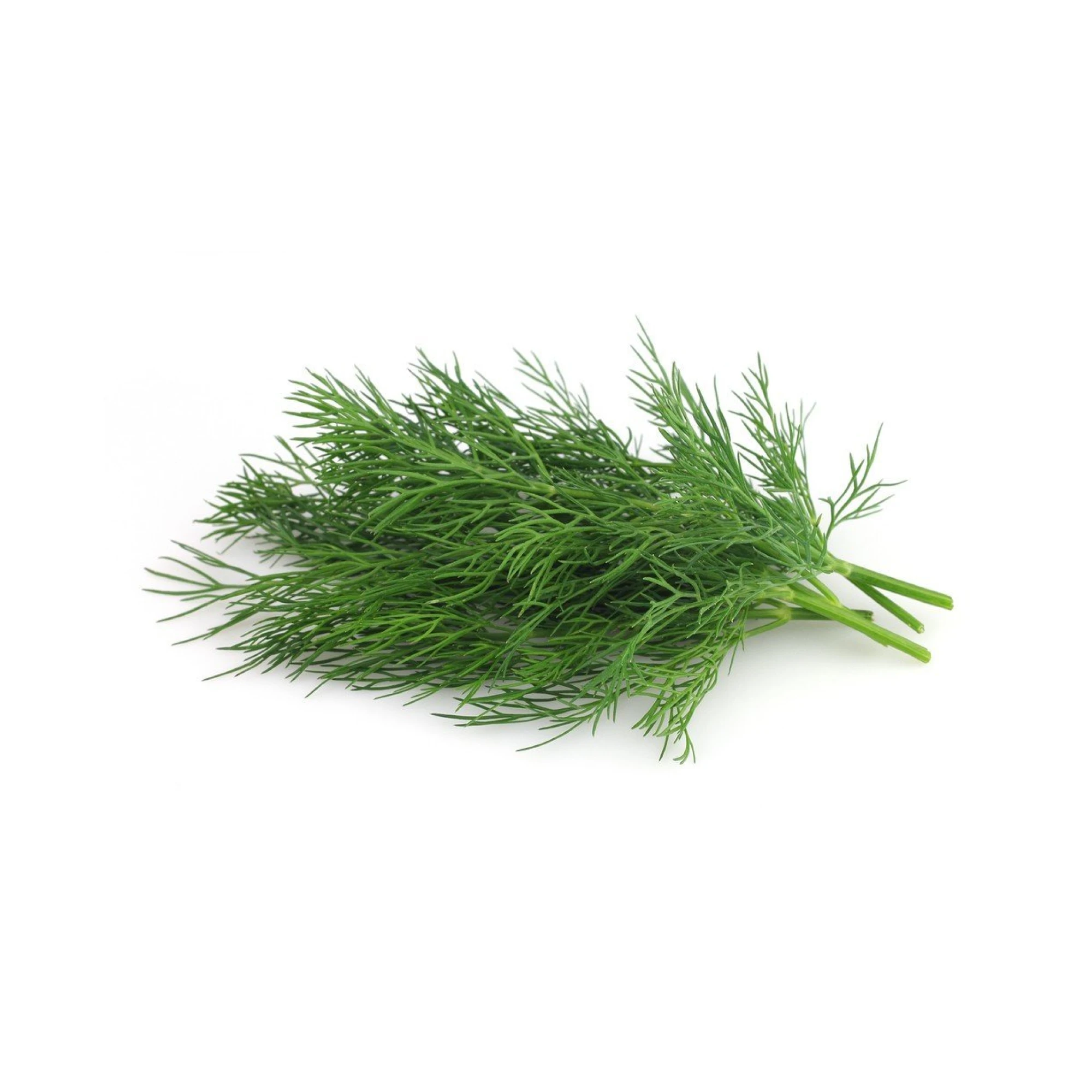 Alternative view of Fresh Dill 1 bunch