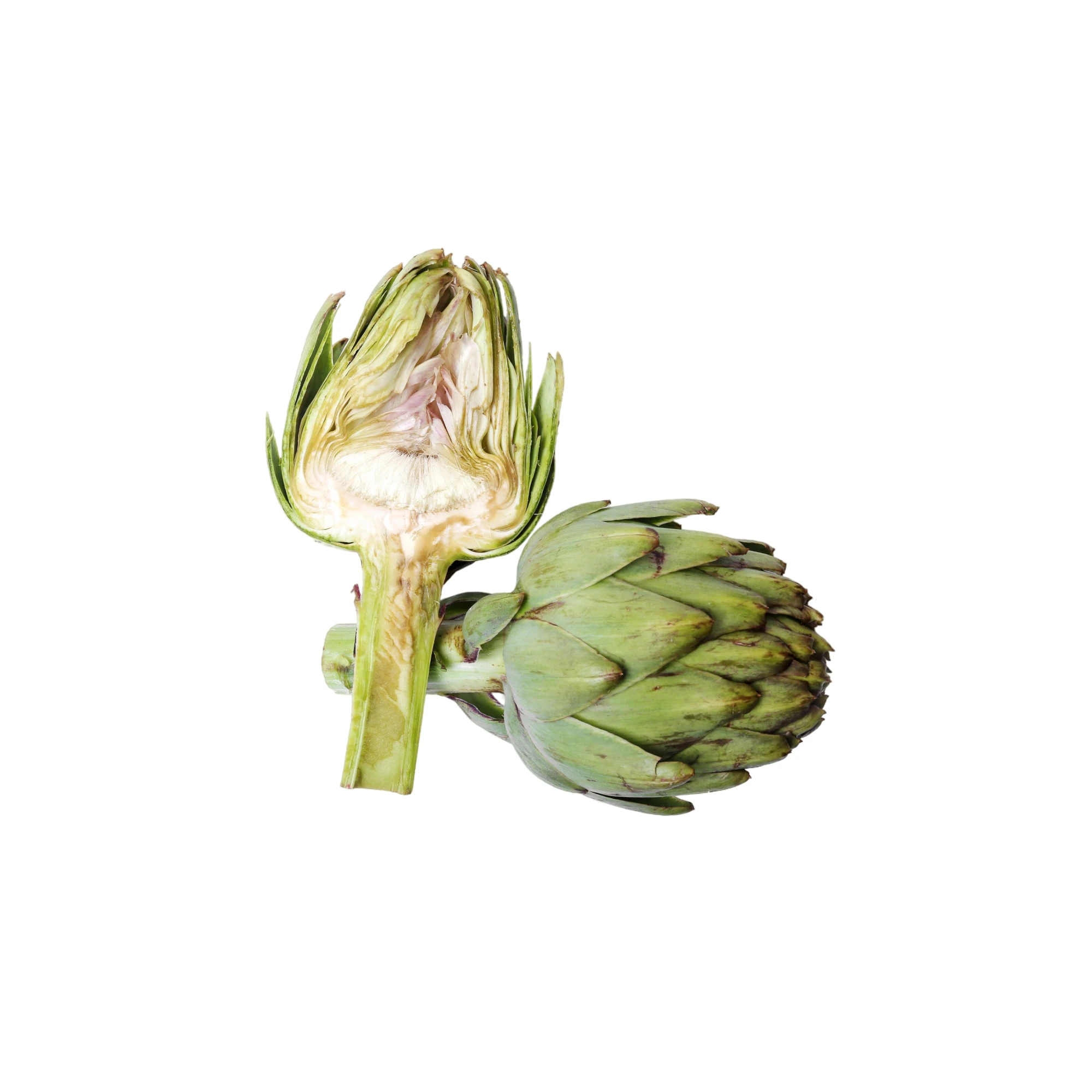 Organic Artichoke 1 count