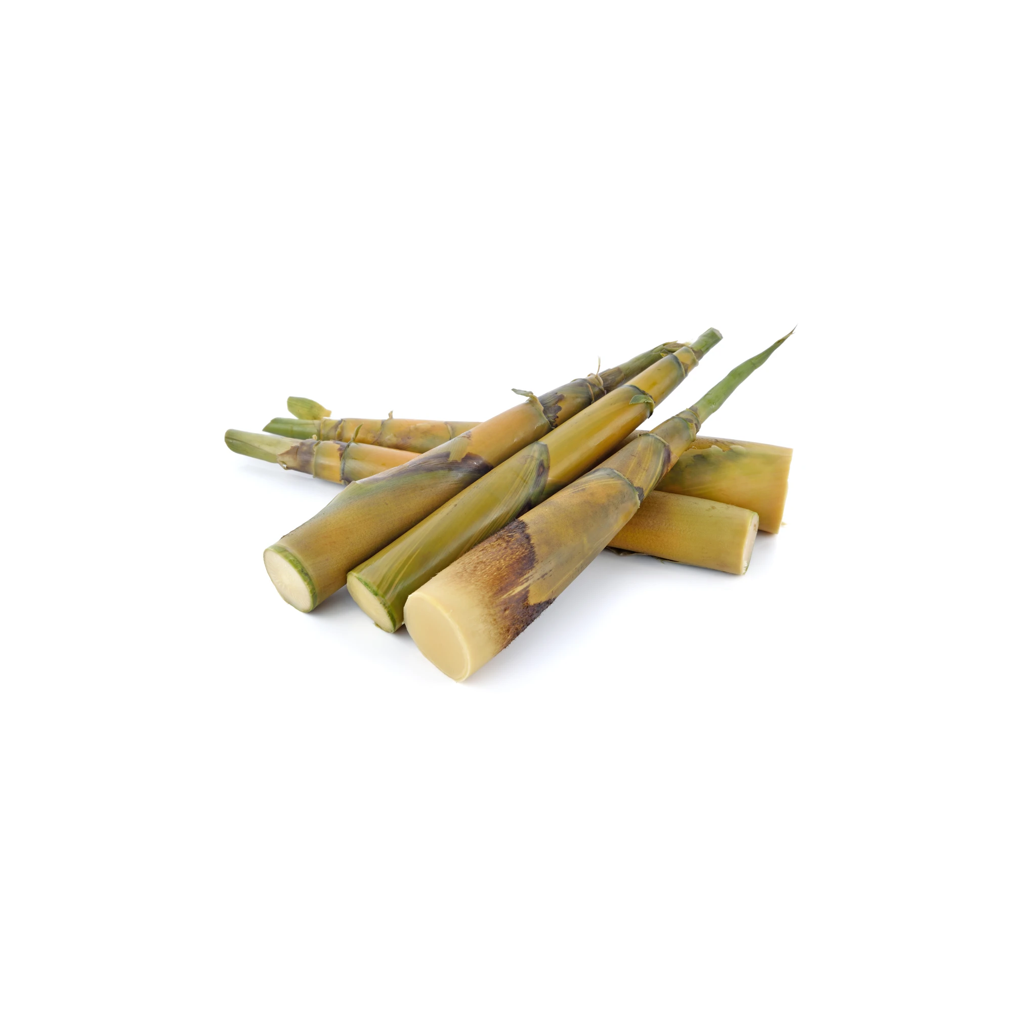Bamboo Shoots 8 oz