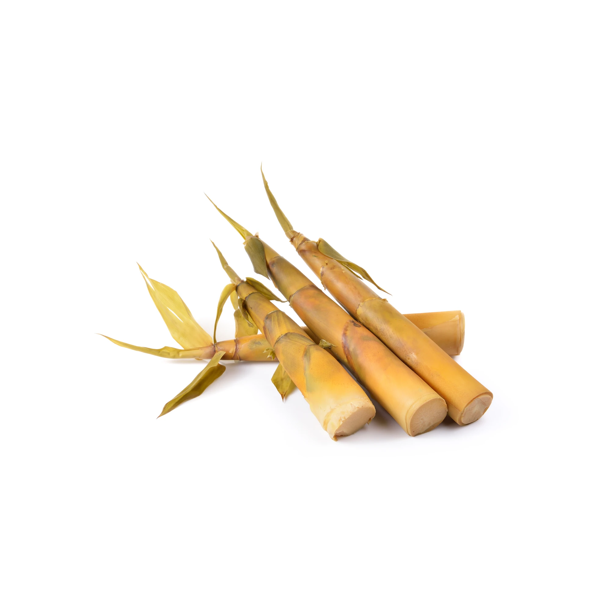 Alternative view of Bamboo Shoots 8 oz