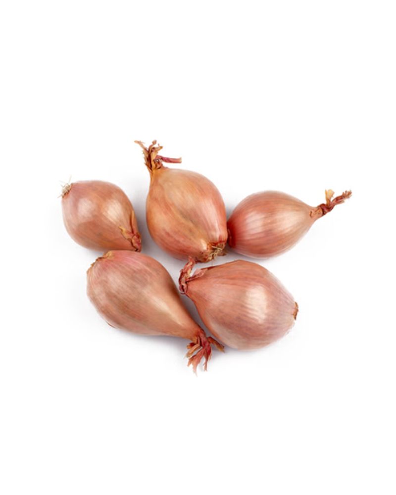 American Shallot 1.7 - 2.5lbs.