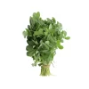 fresh Methi Leaves (Fenugreek) 0.75 oz